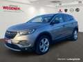 Opel Grandland X Opel GRANDLAND X AT TURBO NAVI LHZ SHZ 360° Gris - thumbnail 1