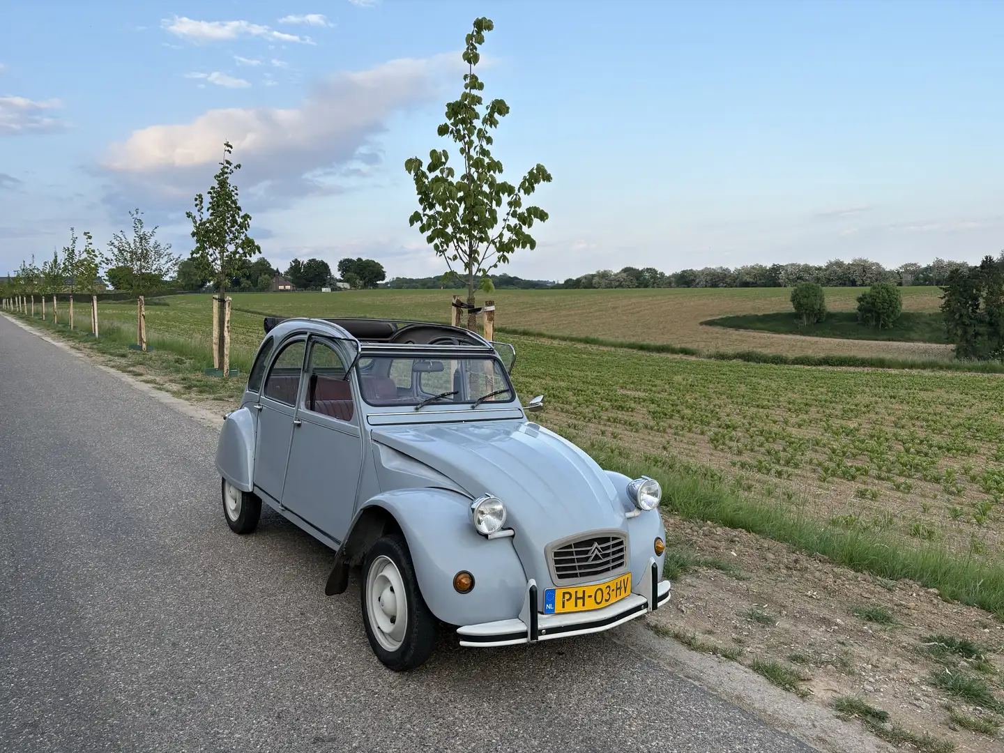 Citroen 2CV 2CV 6 Special Сірий - 1