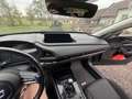 Mazda CX-30 CX-30 G122 Comfort /ST Comfort /ST Grau - thumbnail 9