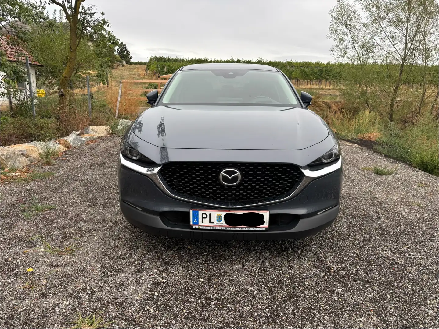 Mazda CX-30 CX-30 G122 Comfort /ST Comfort /ST Grau - 1