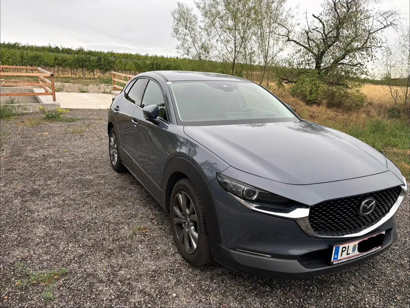 Mazda CX-30 CX-30 G122 Comfort /ST Comfort /ST Grau - 2