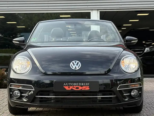 Volkswagen Beetle view 18