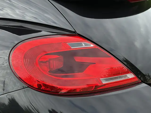 Volkswagen Beetle view 23