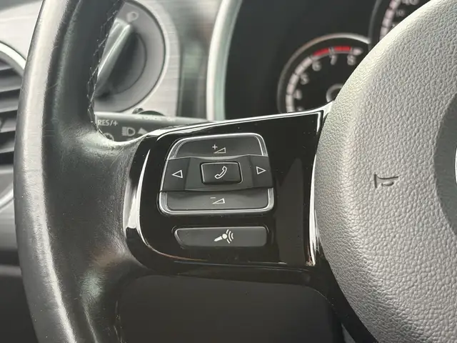 Volkswagen Beetle view 21