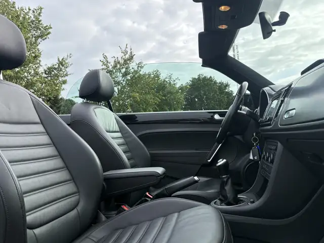 Volkswagen Beetle view 6