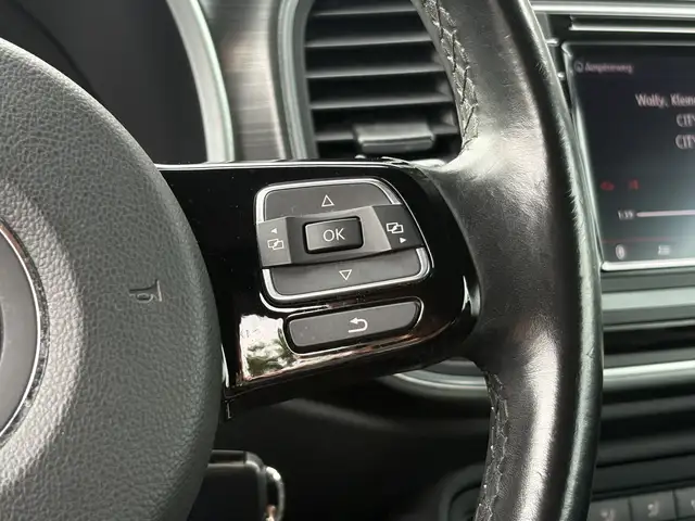 Volkswagen Beetle view 25