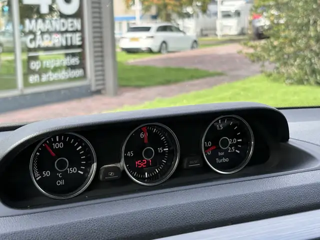 Volkswagen Beetle view 16