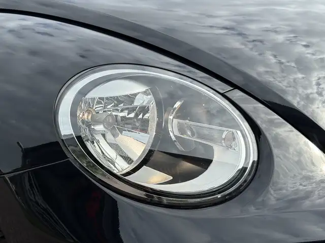 Volkswagen Beetle view 20