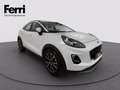 Ford Puma 1.0 ecoboost h Titanium s&s 125cv Blanc - thumbnail 11