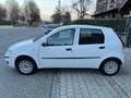Fiat Punto 5p 1.2 natural power Dynamic Bianco - thumbnail 8