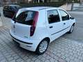 Fiat Punto 5p 1.2 natural power Dynamic Bianco - thumbnail 5