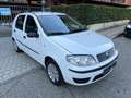 Fiat Punto 5p 1.2 natural power Dynamic Bianco - thumbnail 3