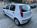 Fiat Punto 5p 1.2 natural power Dynamic Bianco - thumbnail 7