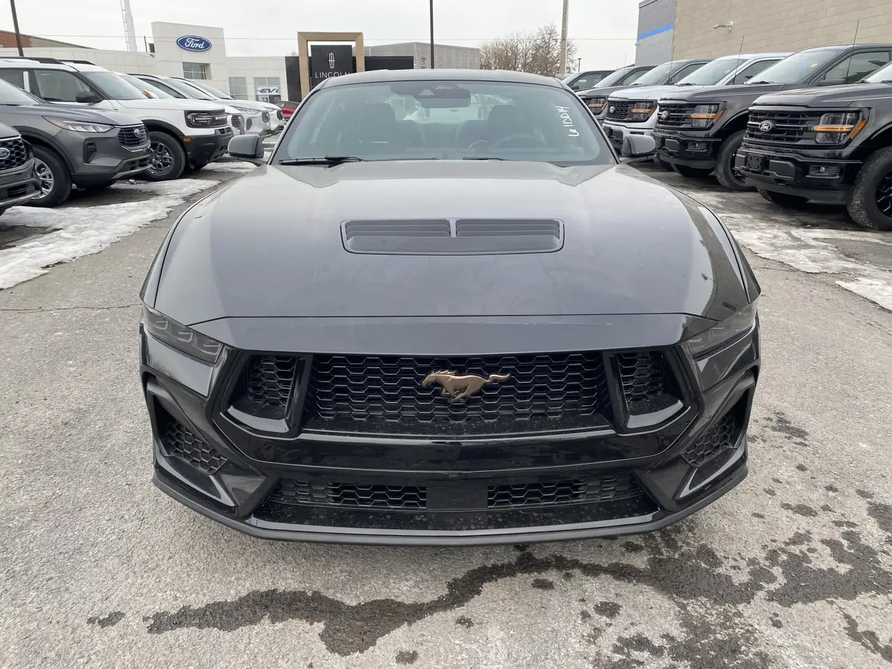Ford Mustang снимка Ford Mustang