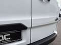 Ford Transit Custom Kasten 2,0 TDCi L2H1 300 Trend AHK/STH/WSS-Heiz... Weiß - thumbnail 33
