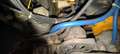 Zastava 750 Abarth Blau - thumbnail 5