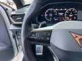 CUPRA Leon 1.4 e-Hybrid VZ Business Blanco - thumbnail 5