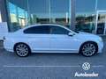 Volkswagen Passat Passat 2.0 TDI 150cv DSG Executive R-line Tetto Bianco - thumbnail 4