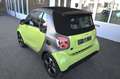 smart forTwo fortwo cabrio electric drive/EQ NAVI/LED Grau - thumbnail 18