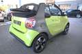 smart forTwo fortwo cabrio electric drive/EQ NAVI/LED Grau - thumbnail 6