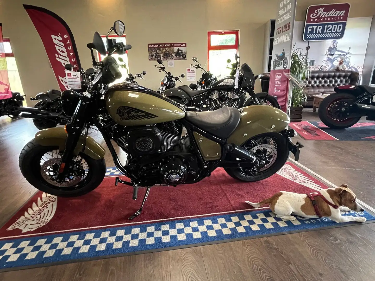 Indian Chief Bobber Dark Horse Tactical Green Verde - 2