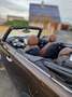 MINI Cooper Cabrio Mini Cooper Cabrio Brun - thumbnail 3
