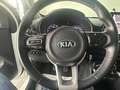 Kia Picanto 1.0 dpi X Line TECH KM CERT Bianco - thumbnail 13