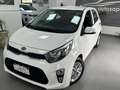 Kia Picanto 1.0 dpi X Line TECH KM CERT Weiß - thumbnail 1