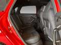 Audi RS3 2.5 TFSI ACC B&O HeadUp Panorama Rot - thumbnail 12