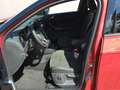 Volkswagen T-Roc R-Line 1.5 TSI DSG NAV,AHK,RFK,SHZ,ACC,MFL,LED Rot - thumbnail 10