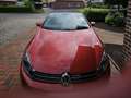 Volkswagen Golf Cabriolet Golf Cabrio 1.2 TSI BlueMotion Technology Exclusiv Rot - thumbnail 5