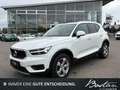 Volvo XC40 MOMENTUM 2WD/BUSINESS-PAKET PRO/SCHECKHEFT Blanc - thumbnail 1
