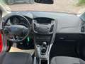 Ford Focus Turnier 1.5 TDCI 70 KW Klima Euro 6 Rouge - thumbnail 11