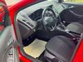 Ford Focus Turnier 1.5 TDCI 70 KW Klima Euro 6 Rouge - thumbnail 8