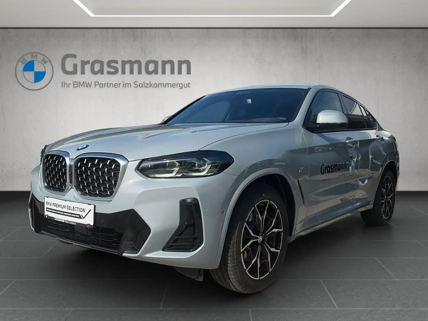 BMW X4 X4 xDrive 20d Серый - 1