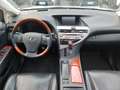 Lexus RX 450h RX 450h Ambassador Gris - thumbnail 10