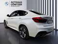 BMW X6 xDrive30d Sport Activity Weiß - thumbnail 11