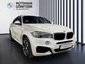 BMW X6 xDrive30d Sport Activity Weiß - thumbnail 16