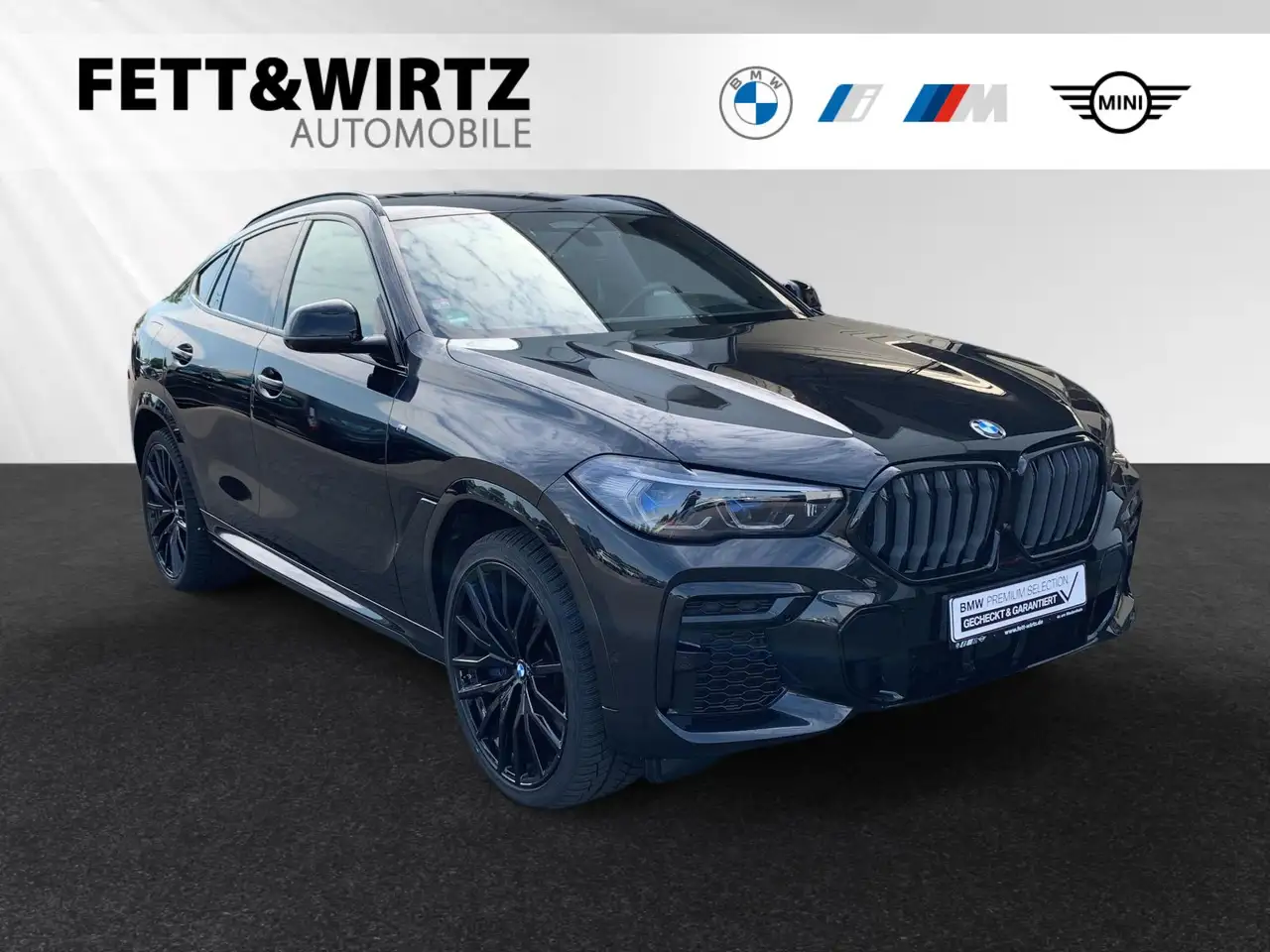 BMW X6