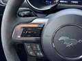 Ford Mustang Mustang 5,0 Ti-VCT V8 GT Cabrio Aut. GT Blau - thumbnail 31