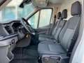 Ford Transit FT310 L2H2 Trend FWD Klima+PDC Weiß - thumbnail 21