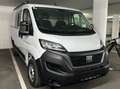 Fiat Ducato Ducato 30 L1H1 140 Panorama Panorama Weiß - thumbnail 2