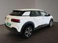 Citroen C4 Cactus Feel 1.2 110 PureTech PDC/SHZ/DAB/Klimaautomatik Blanc - thumbnail 3