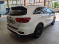 Kia Sorento Platinum Edition 4WD Weiß - thumbnail 6
