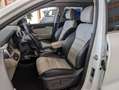 Kia Sorento Platinum Edition 4WD Weiß - thumbnail 12