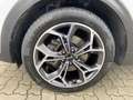 Kia Sportage GT-Line 2.0 AWD MHEV CRDi Kamera SitzHzg. Bianco - thumbnail 7