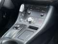 Lexus CT 200h Automaat Trekhaak/Navigatie/Cruise. Blanc - thumbnail 24