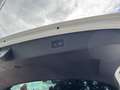 Volkswagen Tiguan R-Line Highline 4Motion Standheizung*LED Wit - thumbnail 32
