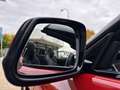 BMW Z4 M40i   Head-Up HK HiFi DAB LED WLAN RFK Shz Rot - thumbnail 9