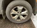 Dacia Duster Duster+TCe+100+ECO-G+2WDComfort Orange - thumbnail 4